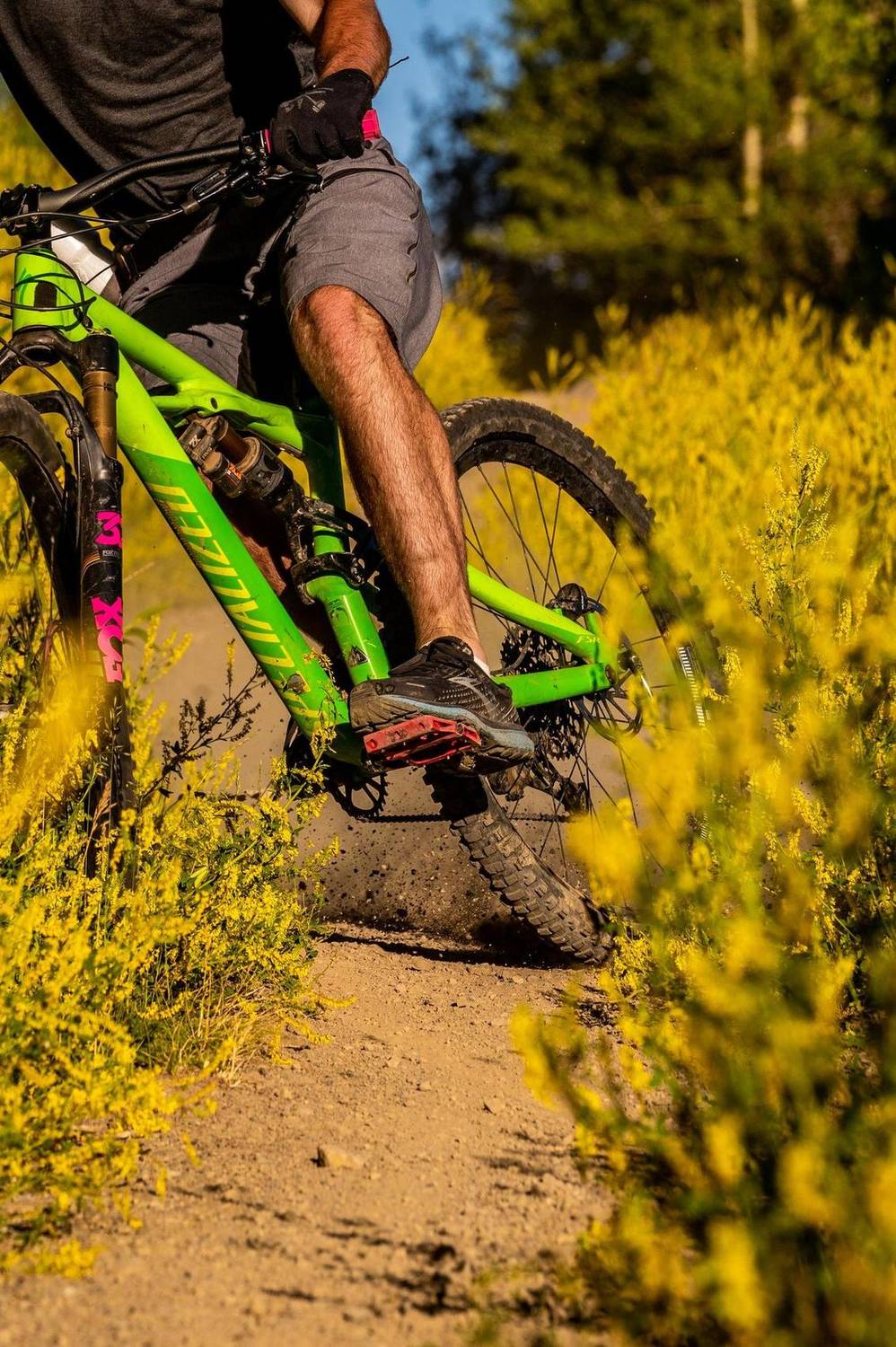 Mountain biker riding a dirt trail through wildflowers