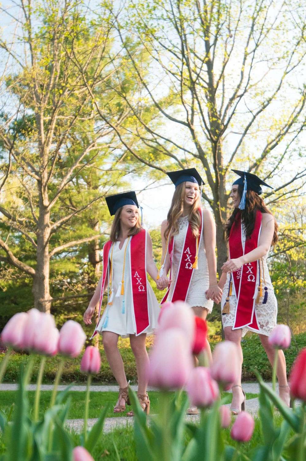 Three sorority sisters in cap and gown walking hand in hand past tulips