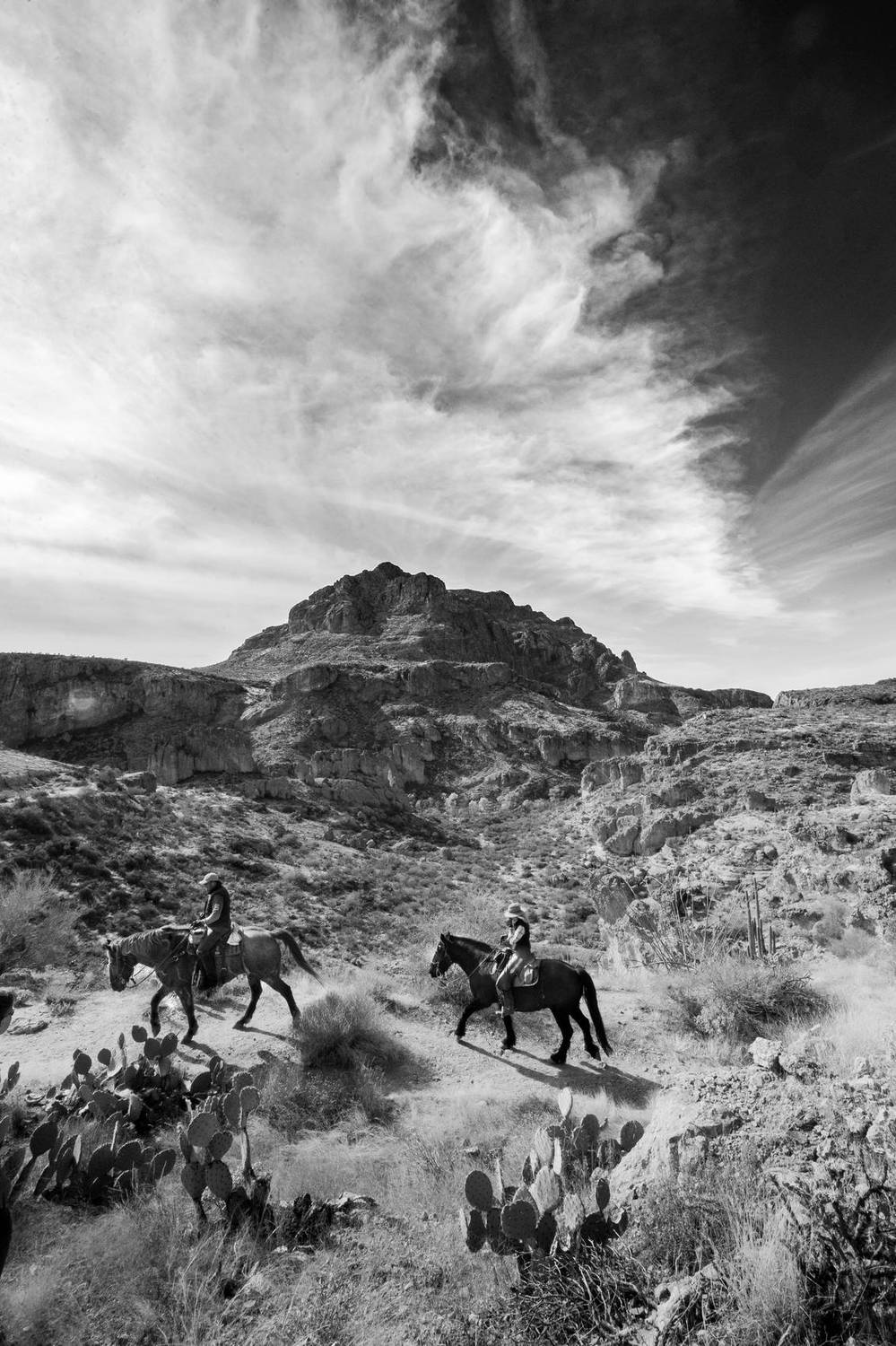 Black and white photo of riders on horseback in a desert landscape