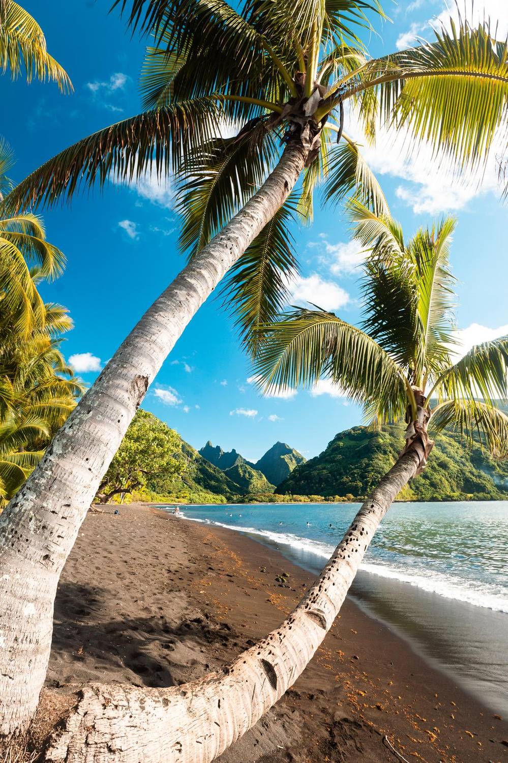Palm trees framing a tropical beach and mountains